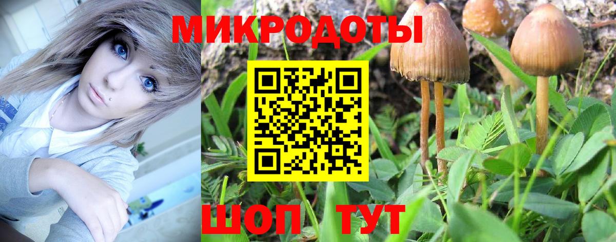 Белорецк  Псилоцибиновые грибы GOLDEN TEACHER  Вход с VPN  Галлюциногенные грибы Psilocybe 